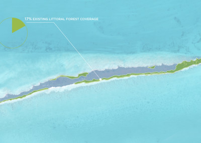 1-17%-existing-littoral-forest-coverage